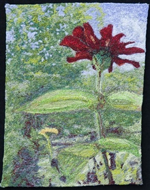 Zinnias